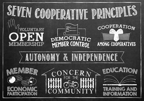 Co-operative Principles 的图像结果