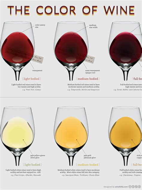 13" x 19" Poster Compare the different colors of wine with this unique ...