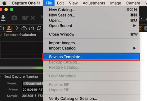 Image result for Capture One Session Workflow