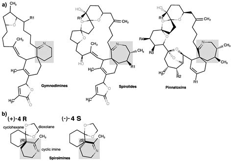 The Cyclic Imine Core Common to the Marine Macrocyclic Toxins Is ...