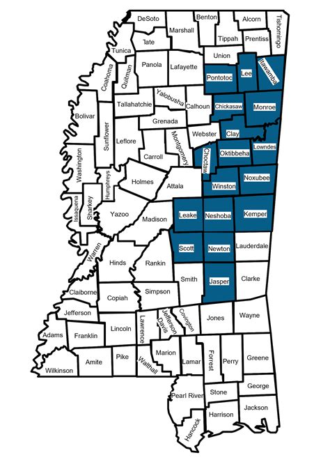 2024 is a year for periodical cicadas | Mississippi State University ...