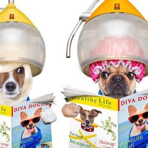 Spa Day with Designer Doggies, The Grateful Dog Bakery Inc., North ...