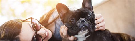 Buy Bio-Groom Protein Lanolin Tearless Moisturising Shampoo, 355 ml ...