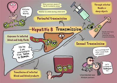 Hepatitis B Transmission