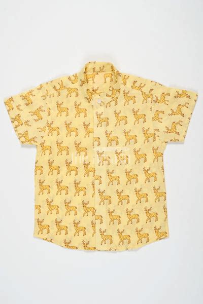 Boys Cotton Shirt – The Nesavu