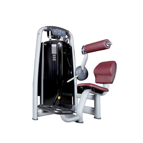 Image result for Back Training Machine