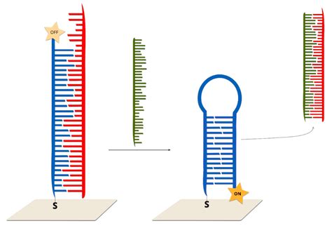 Surface Enhanced Raman Spectroscopy for DNA Biosensors—How Far Are We?
