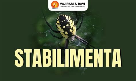 Stabilimenta, Latest News