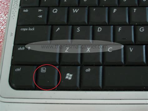 Image result for Random.org Tutorial