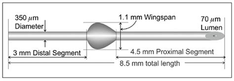 Early Complications and Results of Preserflo MicroShunt in the ...