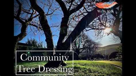 Washing Tree Activities 的图像结果