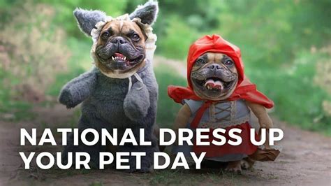 National Dress Up Your Pet Day 2024 (US): Dates and Activities