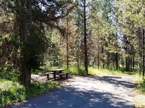 buffalo-campground-island-park-id-06 | Campground Views