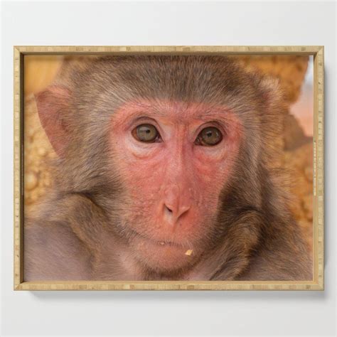 Declutter your space with design. Crafted with 100% eco-friendly bamboo ...