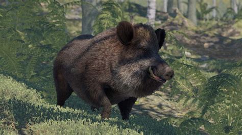 Image result for Rust Creatures