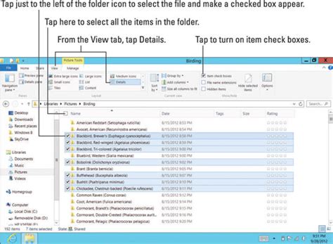 How to Select Multiple Pictures On Computer 的图像结果