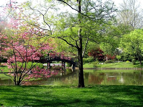 Image result for Springtime Wallpapers for PC