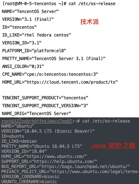 MySQL Install and Open 的图像结果