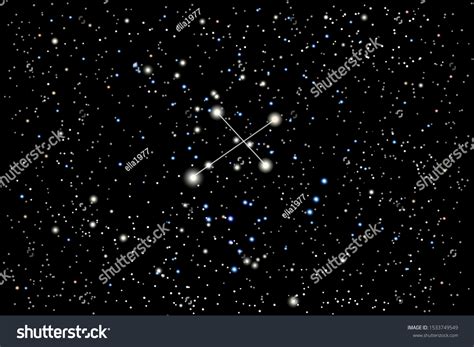 Vector Illustration Constellation Crux Southern Cross Stock Vector ...