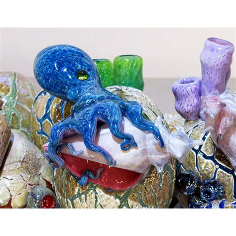 Octopus Shell 的图像结果