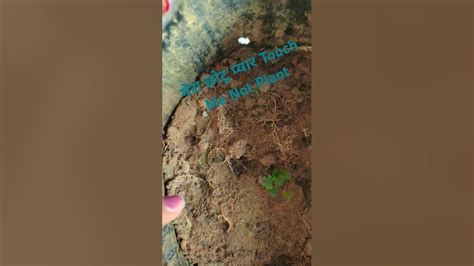 touc me | - Unlock ₹600 Bonus Today Android IOS V- 4.45