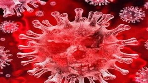 Coronavirus has mutated into at least 30 variants: China study