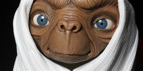 Alien Amnesty 的图像结果