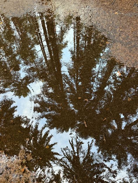 Sophie+Rain+Images Photos, Download The BEST Free Sophie+Rain+Images Stock Photos & HD Images