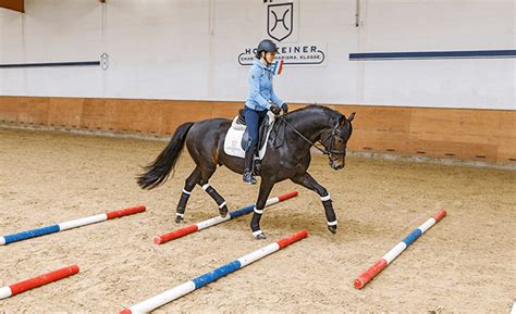 Image result for Pole Bending Tips