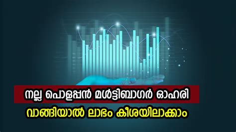 മൾട്ടിബാഗർ അലേർട്ട്..! ഇപ്പോൾ വാങ്ങിയാൽ നേട്ടം നിങ്ങളുടേതാക്കാം ...