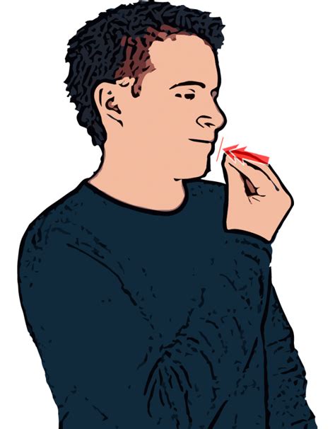 Eat Sign Language 的图像结果