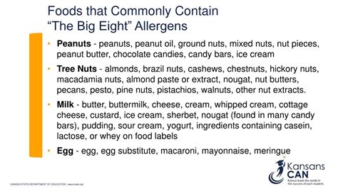 Big 8 Allergens