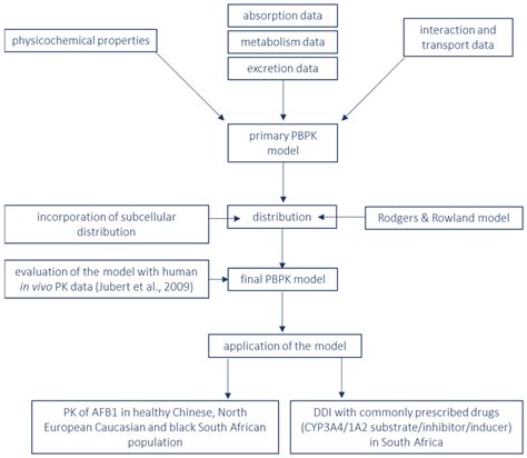 Building a Human Physiologically Based Pharmacokinetic Model for ...