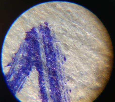 Image result for Ballpoint Pen Under Microscope