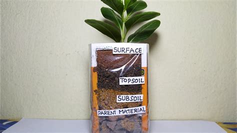 Soil Layers Science Project 的图像结果