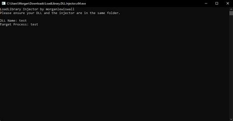 Image result for LoadLibrary Injector Download