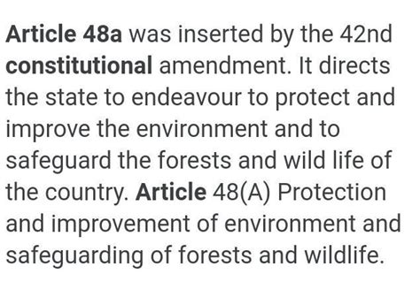 Explain The Article 48A Of Indian Constitution - Brainly.in