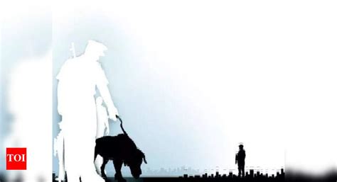 Police dogs sniff out Rs 23-cr drug hidden in pet food boxes in ...