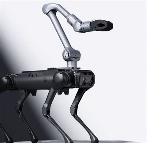 UniTree Robot Arm 的图像结果
