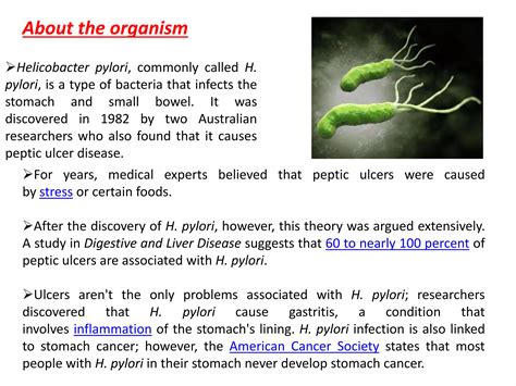 Presentation on peptic ulcer | PPTX