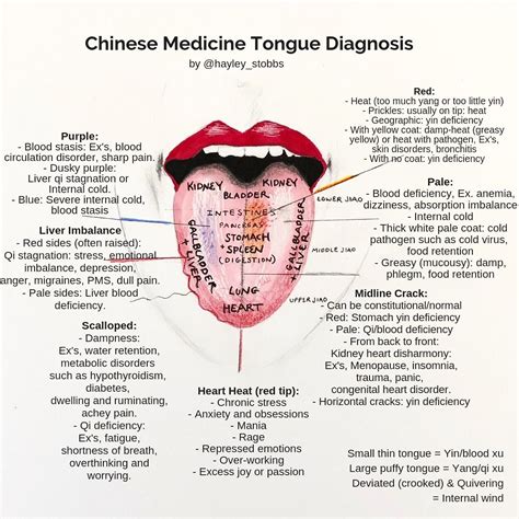 Tongue Hurt Chinese at Ronald Wray blog