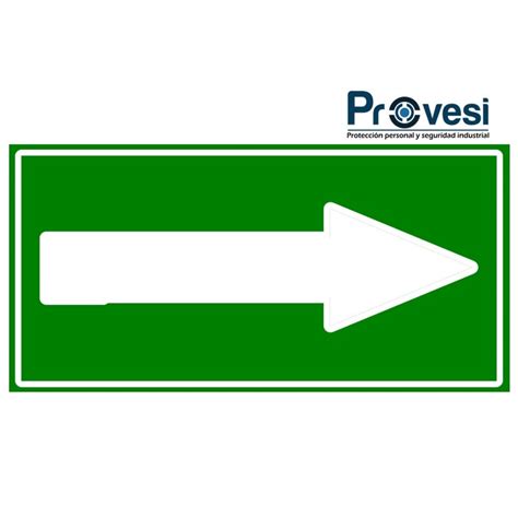 Señales claras de que es momento de reemplazar tus flechas