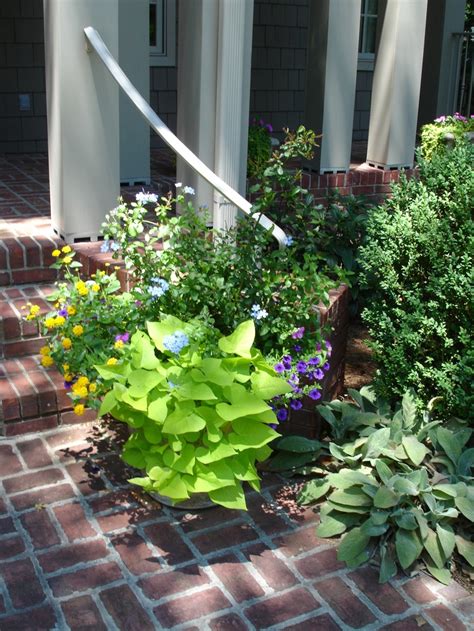 Image result for Overflow Pot