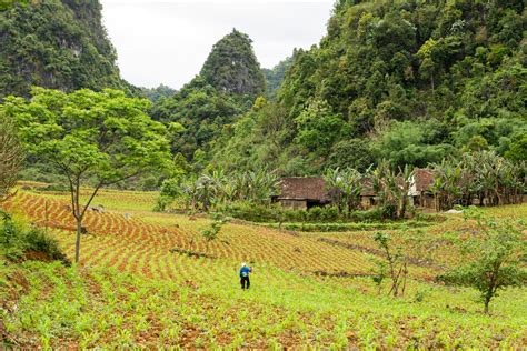 Reducing greenhouse gas emissions in agriculture in Vietnam: Emerging technologies - B-Company