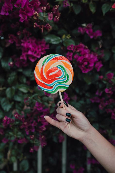 Image result for Boba Mod