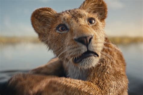 MUFASA: The lion king arrives with adventurous trailer?