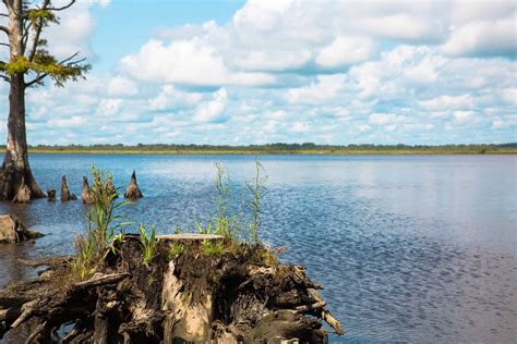 Best Parks to Explore in Virginia Beach - Visit Virginia Beach