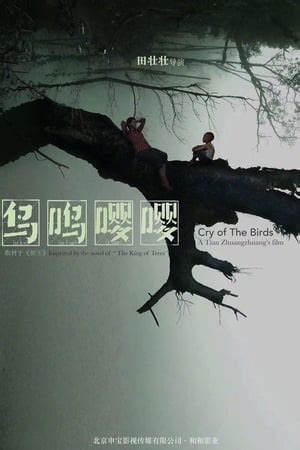 Les meilleurs films de Gao Shuguang