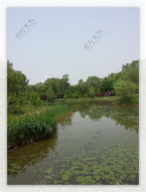 乡村池塘高清图片下载_红动中国