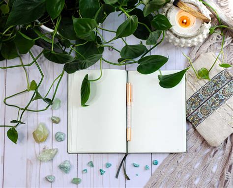 Image result for Reflective Journal Introduction